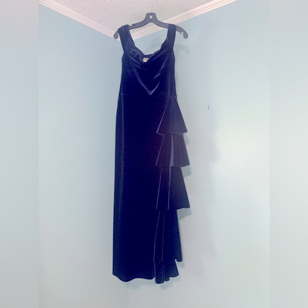 It’s a beautiful Blue velvet dress made by CHIARA BONI